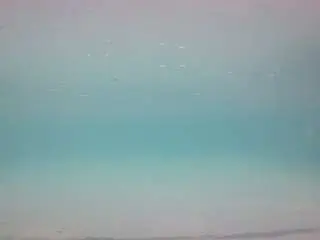 Camsoda Adult Webcams of voyeurcam-casa-salsa-pool-1