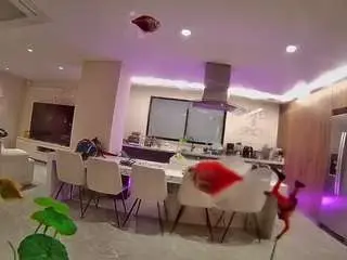 Camsoda Adult Webcams of voyeurcam-casa-salsa-fishtank