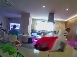 Camsoda Private Sex Chat of voyeurcam-casa-salsa-fishtank