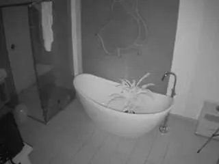 Camsoda Free Porn Cam of voyeurcam-casa-salsa-bathroom-5