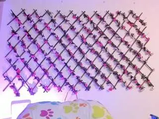 Camsoda Best Webcam of naughtyebonyy