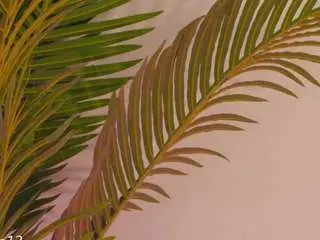Camsoda Adult Webcams of valery-swan
