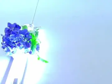 Chaturbate Best live sex cam show of emmawuilian