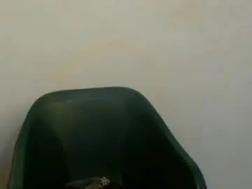 Chaturbate Adult Webcams of fariha_babyy
