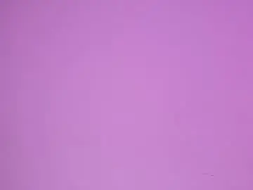 anais_delorme from chaturbate
