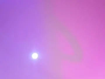 Chaturbate Free Porn Cam of maria_sofii