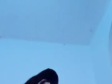 Chaturbate Free Porn Cam of marie_pourtoi
