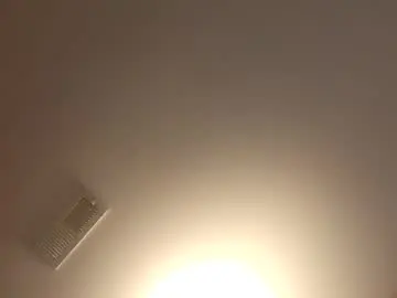 Chaturbate Nude Webcam of playwithtalon29