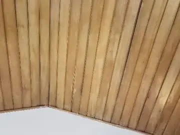 Chaturbate Live Porn of ashly_jones_