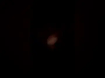 moonpie421 from chaturbate