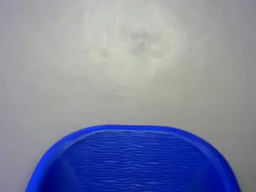 Chaturbate Free Porn Cam of choco_bitch677