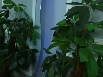 Chaturbate Adult Webcams of kristal_donne