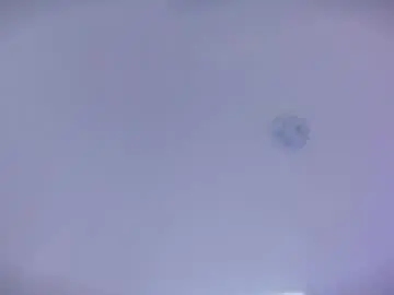Chaturbate Sex Chat of selena_monroy