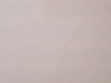 bella_wiild from chaturbate