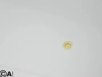 Chaturbate Live Sex Cam of adelina_bliss