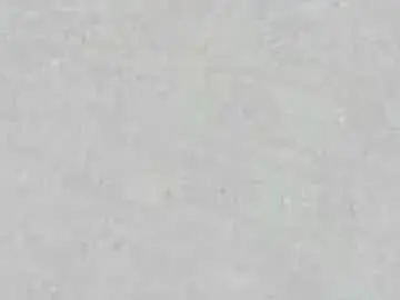 Chaturbate Free Live Porn of carlotta_ricci