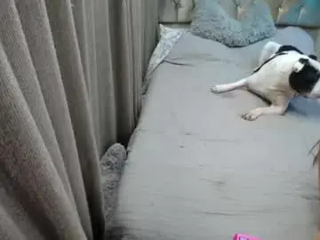 Chaturbate Sex Chat of dreams_sophi