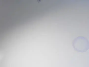 Chaturbate Watch Live Sex Cams of isabella_roses_