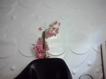 Chaturbate Adult Video Chat of ebonykissxx