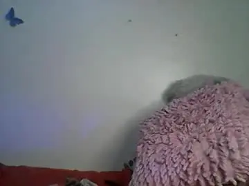 Chaturbate Adult Webcam of sexy_annbel