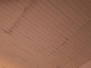 niavera from chaturbate