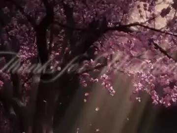 edenarcadia from chaturbate