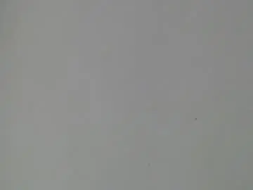 Chaturbate Best Webcam of gley_