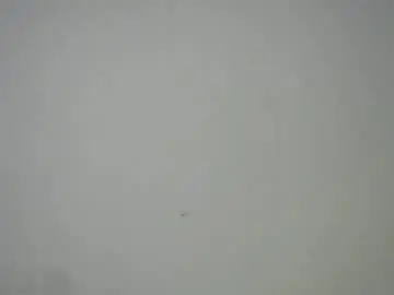 Chaturbate Watch Live Sex Cams of sweet_pussy04