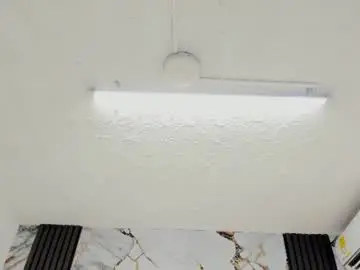 Chaturbate Sex Cam of belacampbell