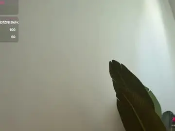 Chaturbate Live Sex of eva_vex