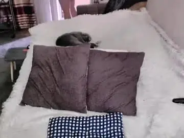 Chaturbate Adult Webcam of tviks