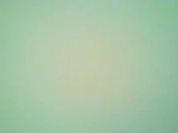 Chaturbate Adult Video Chat of bililay