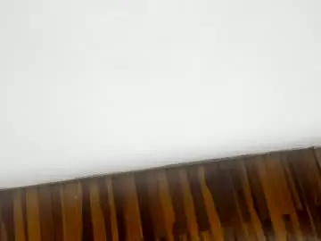 Chaturbate Free Live Porn of valeria_gil_