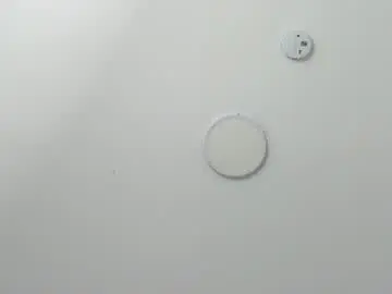 Chaturbate Live Porn of skysaenz