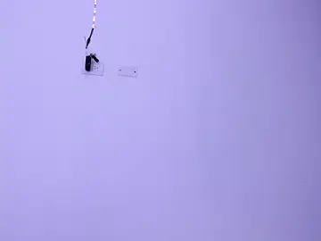 Stripchat Live Porn of Renata_reyes11