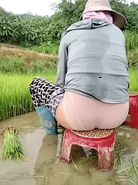 Stripchat Free Live Porn of Belle_hi