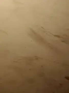 Stripchat Free Porn Cam of jaanubabyb