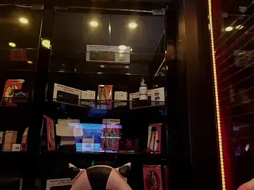 Stripchat Free Live Porn of Melody_Spark