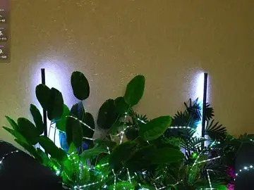 Stripchat Live Porn of Viola_Becker