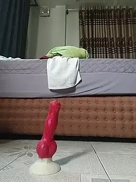 Stripchat Free Porn Cam of Ruby-xx