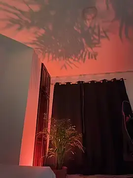 Stripchat Watch Live Sex Cams of carol_latina13