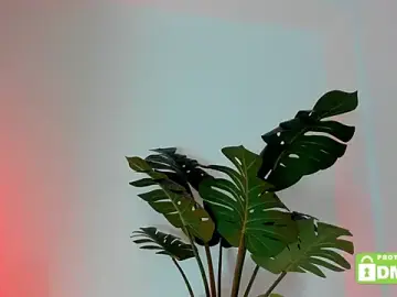 lovesweetash from stripchat