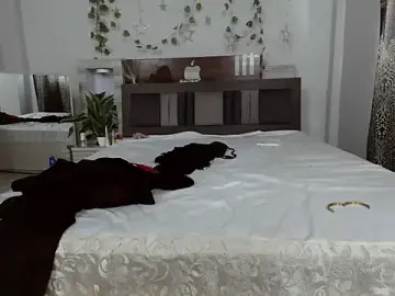 Stripchat Live Porn of beautiful_bellaa