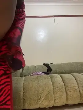 Stripchat Free Live Porn of sweet18creamybigpussy
