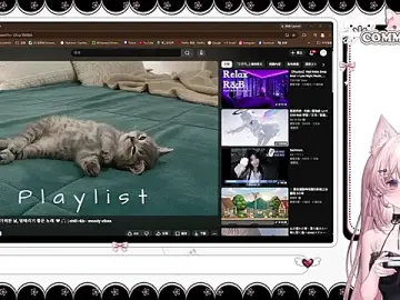 Stripchat Adult Webcam of Fatis-Rin-Meow