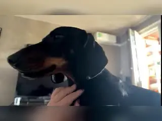 MarvelPudlinski from xlovecam
